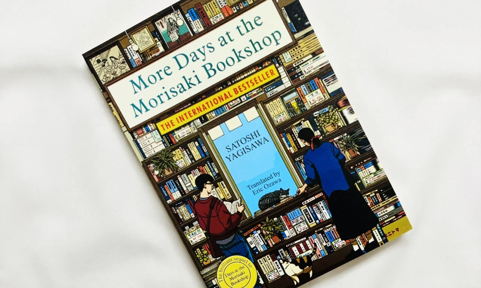 More Days at the Morisaki Bookshop